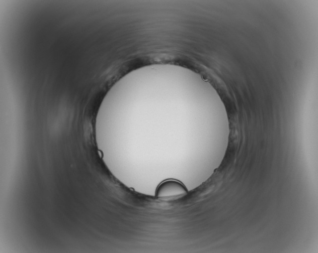 X0000114590523200910191036