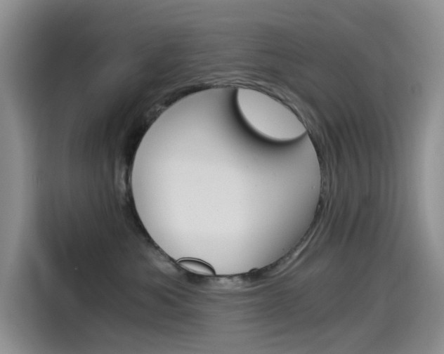 X0000114590525200910191036