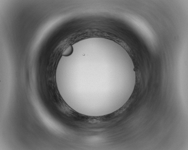 X0000114590526200910191036