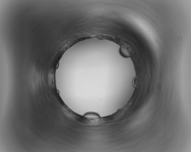 X0000114590527200910191036