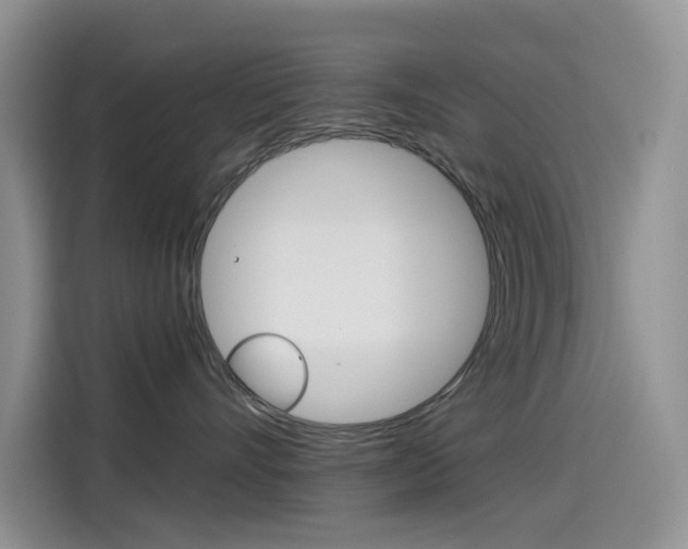 X0000114590528200910191036