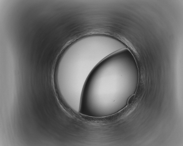 X0000114590530200910191036