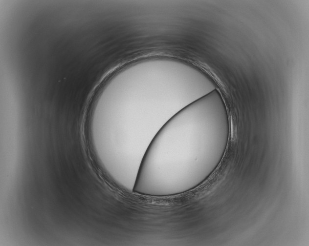 X0000114590531200910191036