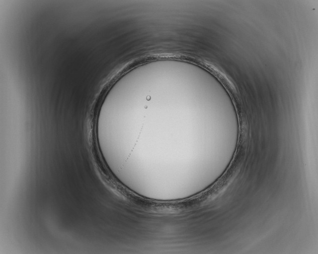 X0000114590533200910191036
