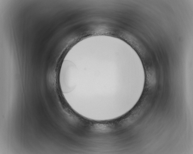 X0000114590534200910191036