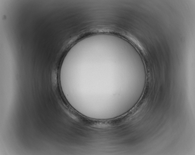 X0000114590537200910191036
