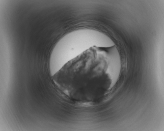 X0000114590553200910191036