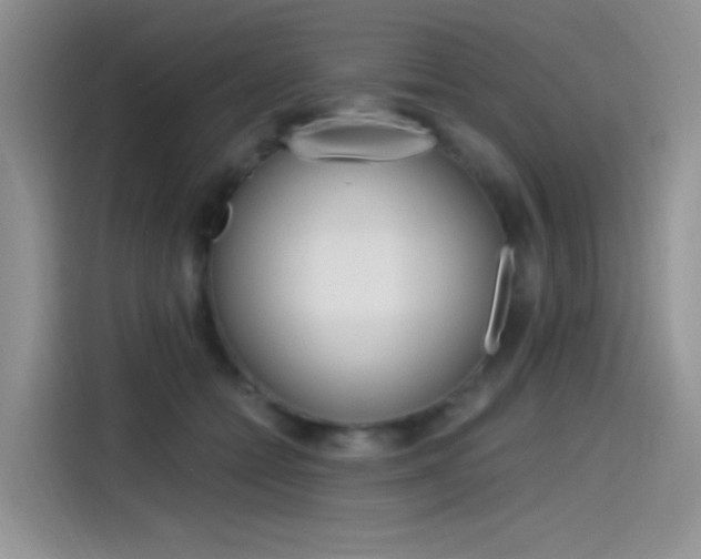 X0000114590558200910191036