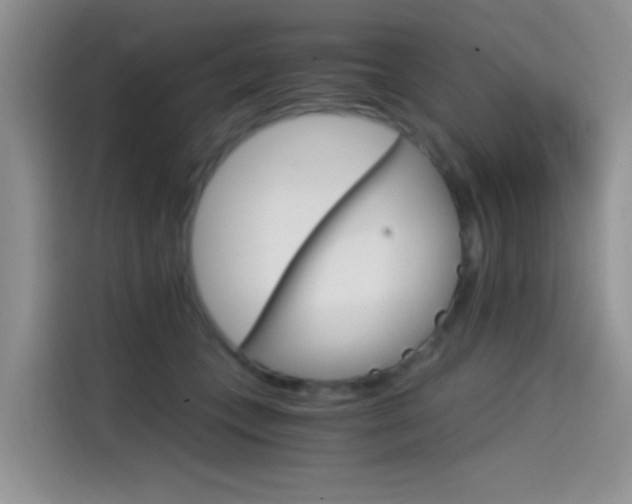 X0000114590559200910191036