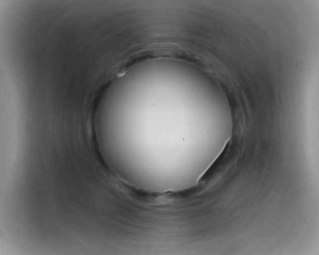 X0000114590562200910191036