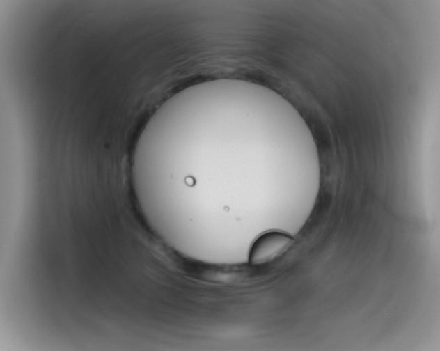 X0000114590563200910191036