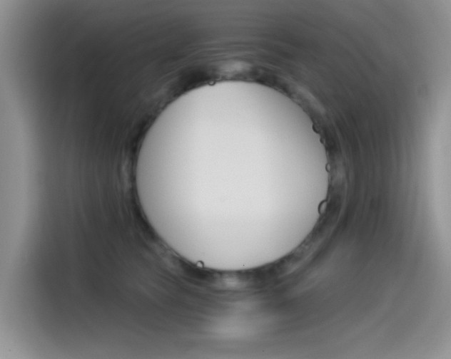 X0000114590565200910191036