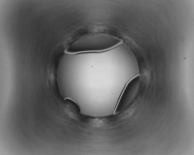 X0000114590566200910191036