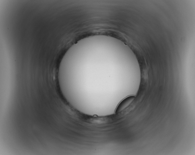 X0000114590567200910191036