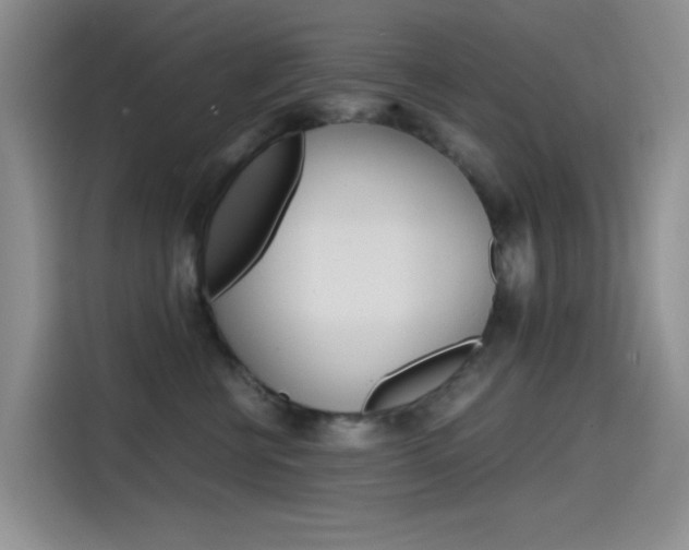 X0000114590570200910191036