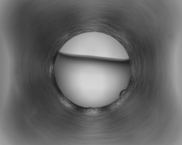 X0000114590574200910191036