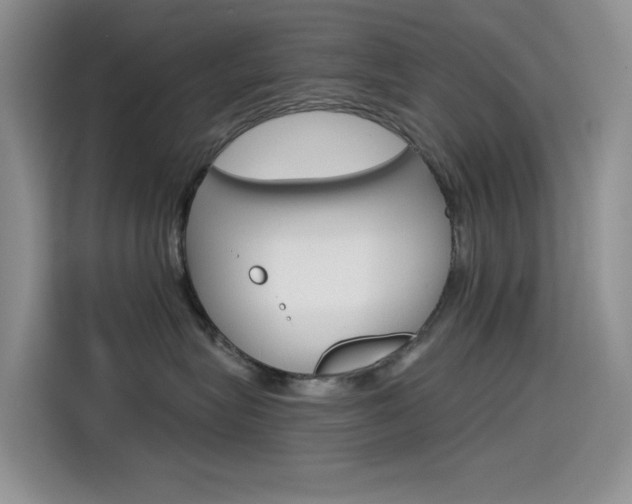X0000114590575200910191036