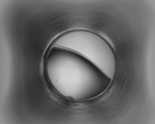 X0000114590580200910191036
