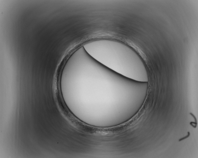 X0000114590582200910191036