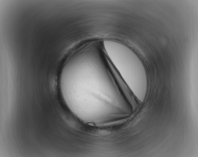 X0000114590592200910191035