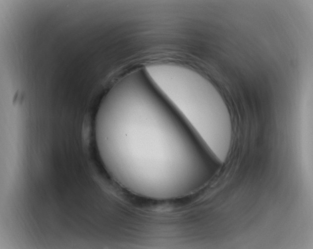 X0000114590600200910191035