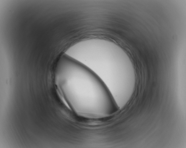 X0000114590605200910191035
