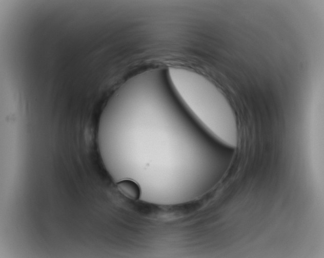 X0000114590608200910191035