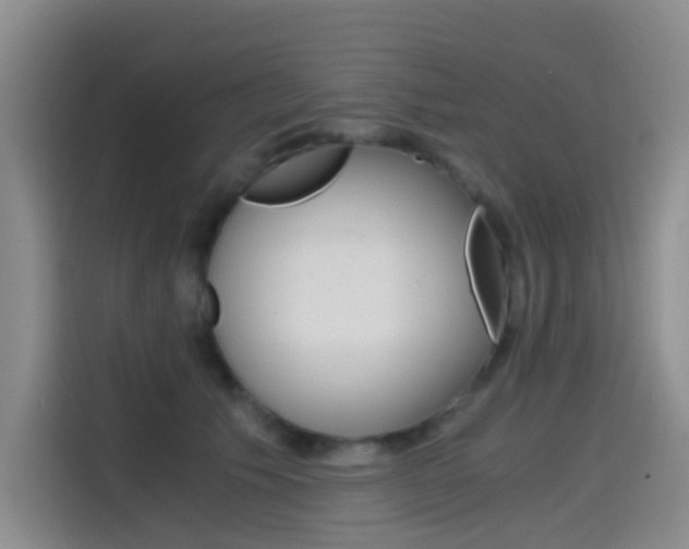 X0000114590609200910191035