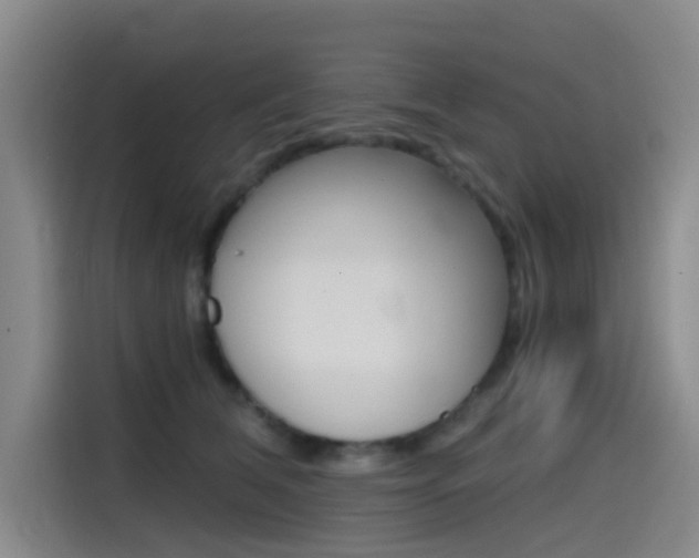 X0000114590612200910191035