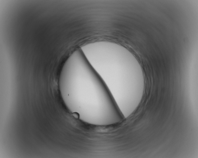 X0000114590613200910191035