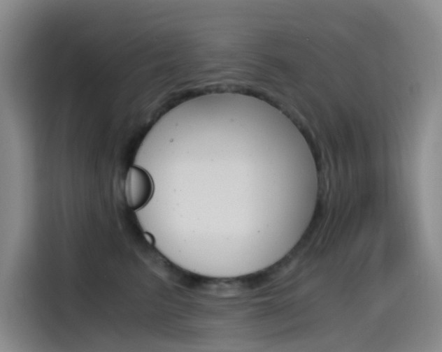 X0000114590615200910191035