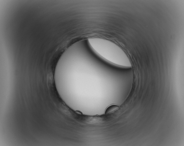 X0000114590617200910191035