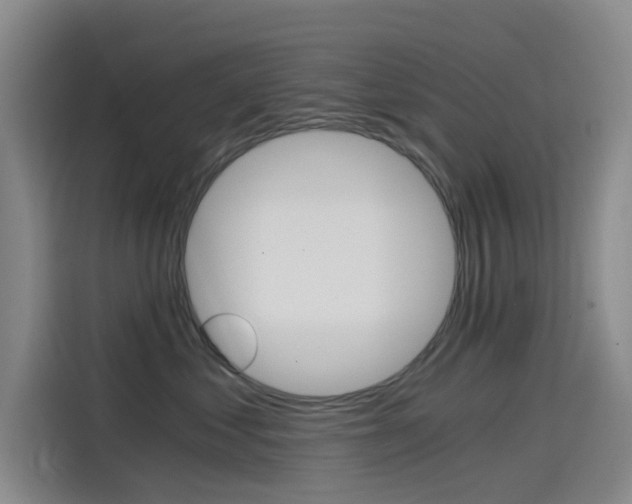 X0000114590621200910191035