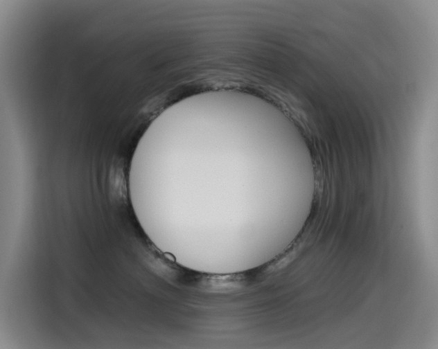 X0000114590622200910191035