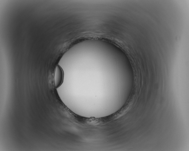 X0000114590624200910191035