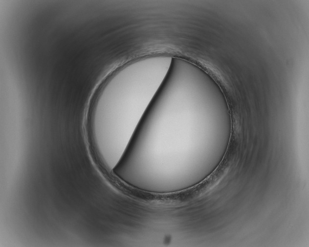X0000114590630200910191035