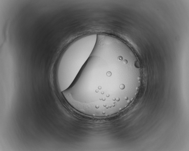 X0000114590631200910191035