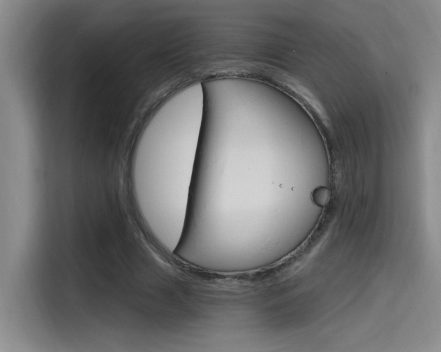 X0000114590633200910191035