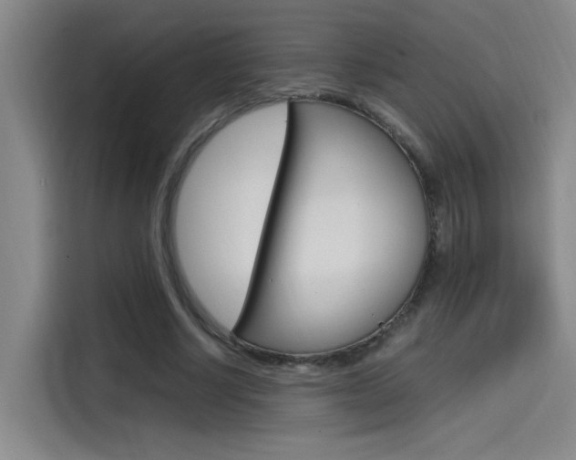 X0000114590634200910191035