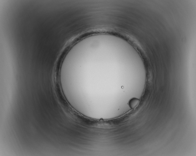 X0000114590636200910191035