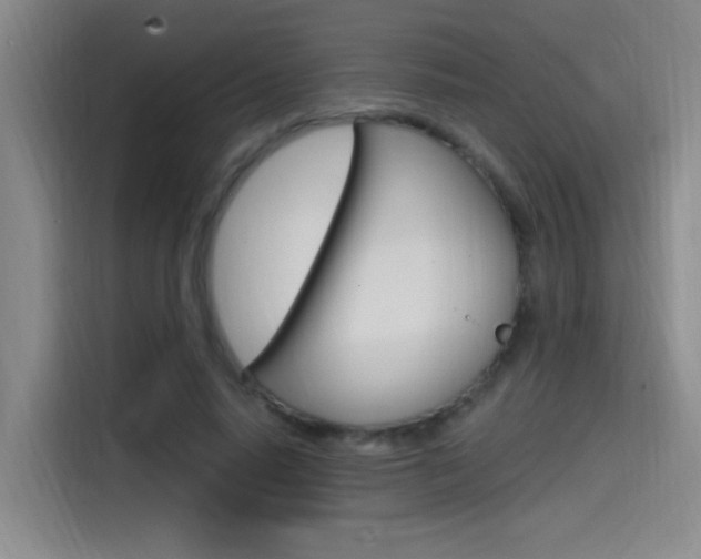 X0000114590640200910191035