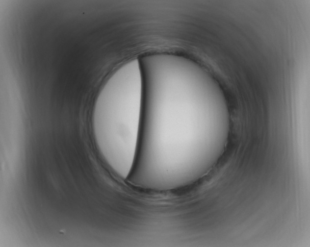 X0000114590642200910191035