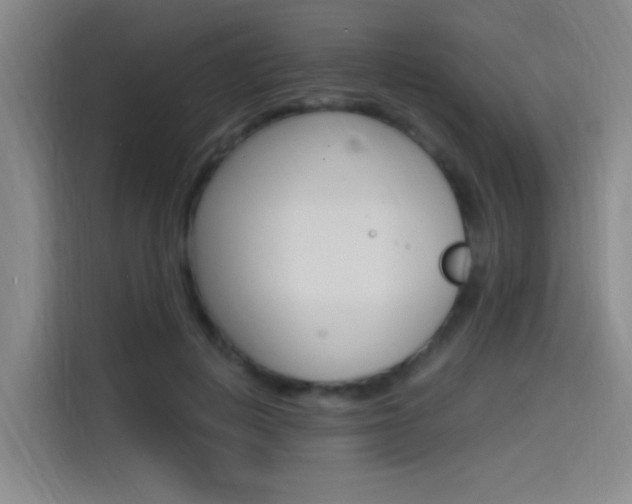 X0000114590648200910191035