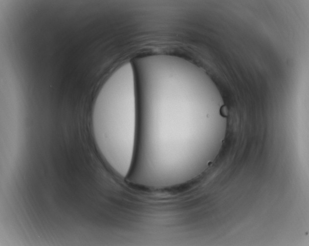 X0000114590650200910191035