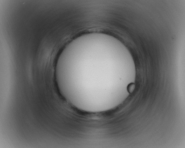X0000114590652200910191035