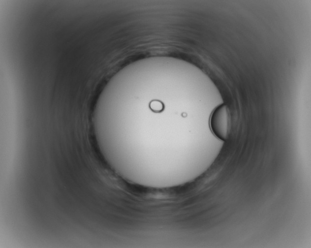 X0000114590655200910191035