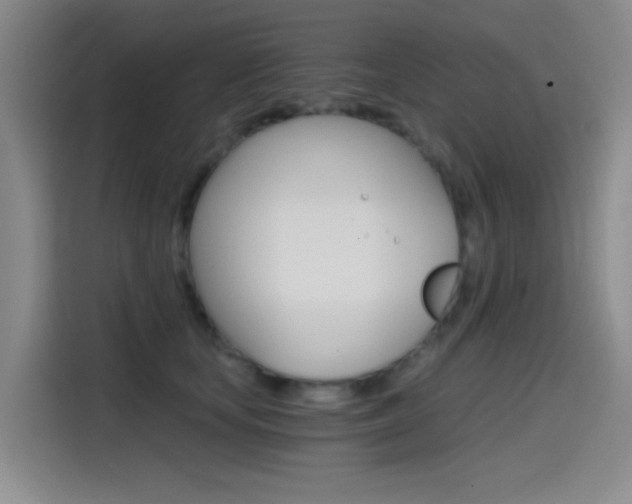 X0000114590659200910191035