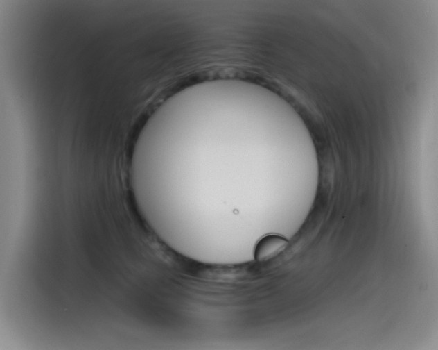 X0000114590661200910191035