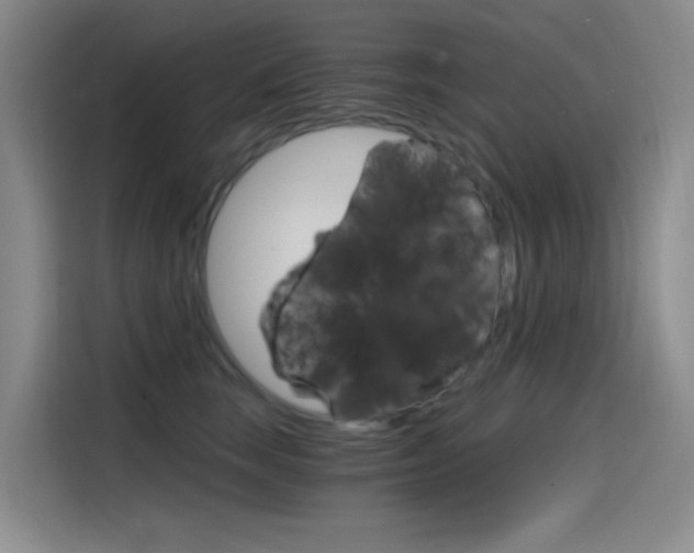 X0000114590663200910191035