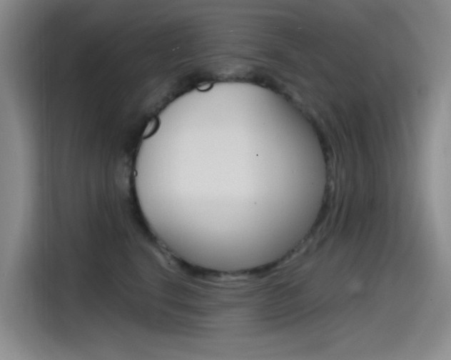 X0000114590664200910191035